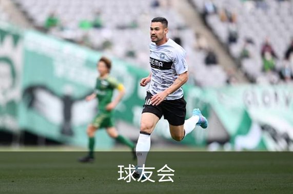球友会概况